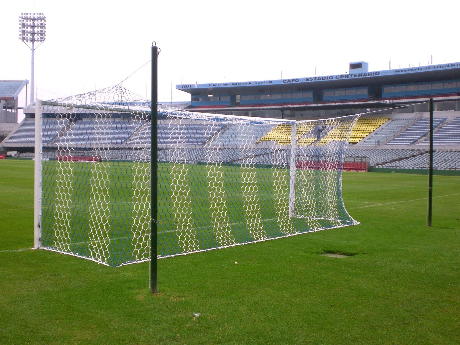 Red De Portería De Fútbol Con Fondo De Hierba. Marcas Y Rayas Del